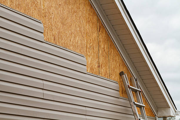 Professional Wood Siding technician working in Groveland, FL